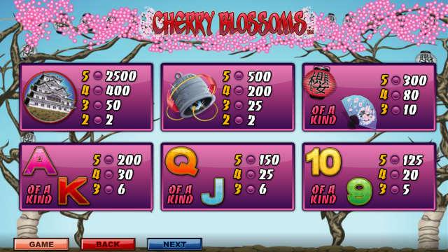 Cherry Blossoms 7